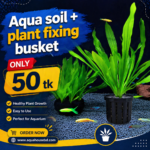 Aqua soil + busket